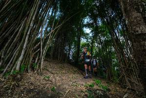 BIB: 
                            <button type="button" onclick="openModal(19395658)" class="btn btn-primary btn-sm float-right btn-popup" data-toggle="modal" data-target=".modal-high-quality">
                        <i class="fas fa-shopping-cart"></i> Add to Cart
                    </button>
                                            <button type="button" onclick="isThisMe(19395658, true)" class="btn btn-success btn-sm float-right btn-popup btn-isme hidden" data-toggle="tooltip" data-placement="bottom" title="นี่คือรูปของคุณใช่ไหม คลิกที่นี่เพื่อเอาเข้าอัลบั้ม">
                        <i class="fas fa-plus"></i> Add to album
                    </button>
                    <button type="button" onclick="isThisMe(19395658, false)" class="btn btn-warning btn-sm float-right btn-popup btn-isnotme hidden">
                        <i class="fas fa-ban"></i> Remove from album
                    </button>